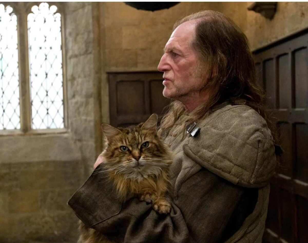 Филч и Миссис Норрис. Гарри Поттер и философский камень