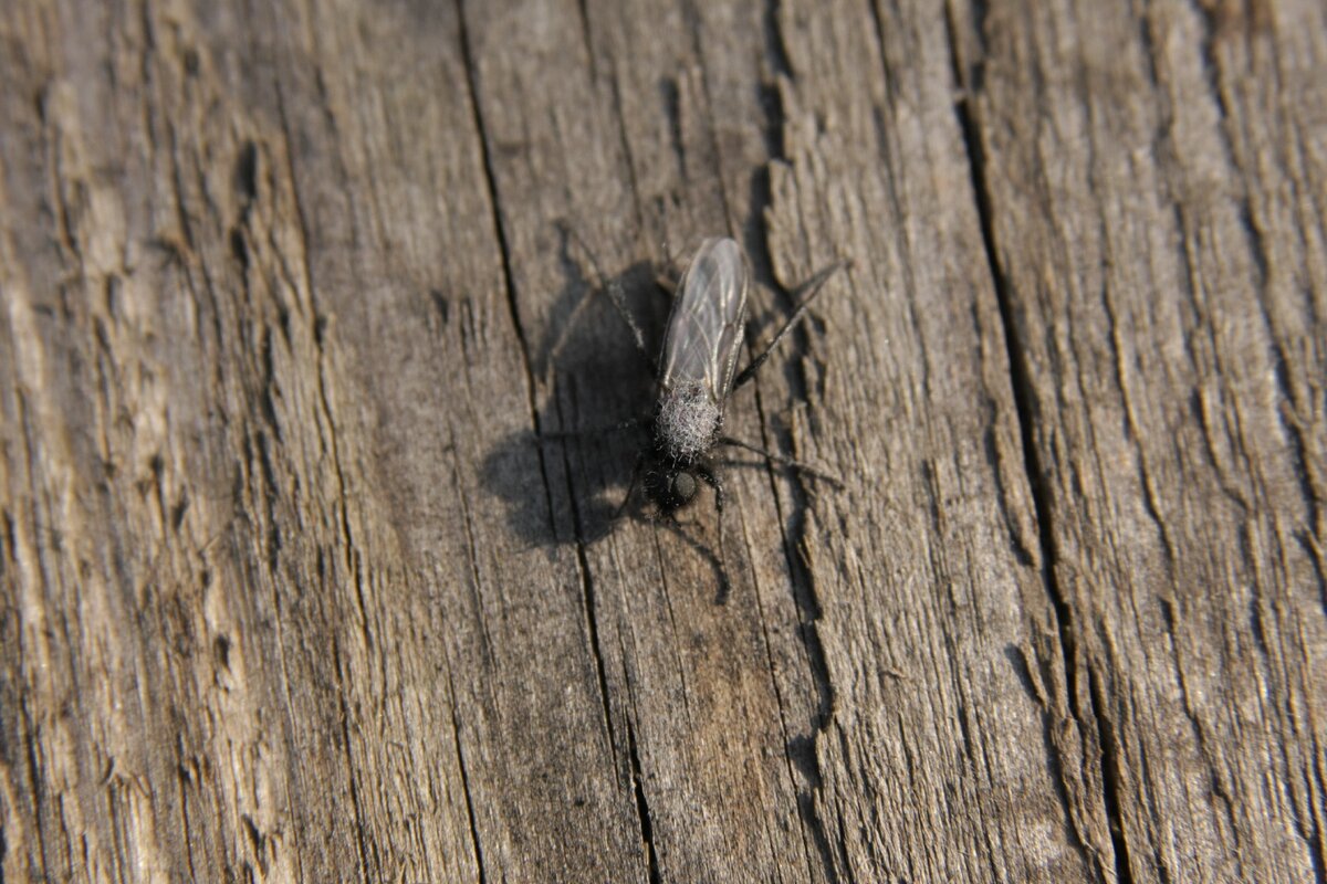 Фото сделано в Краснодаре