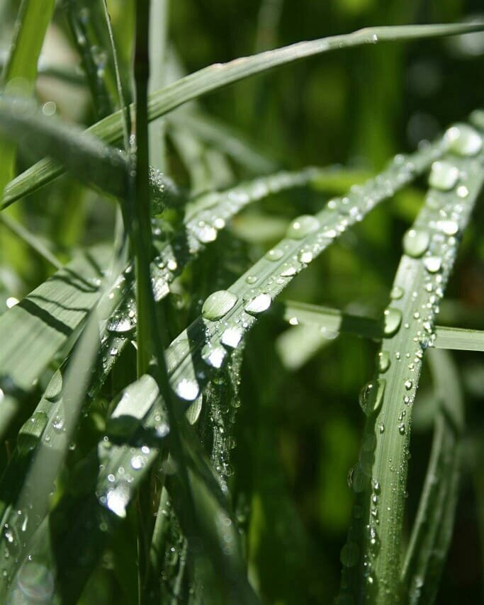 Хочется лета