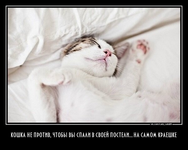 Картинка из открытого источника