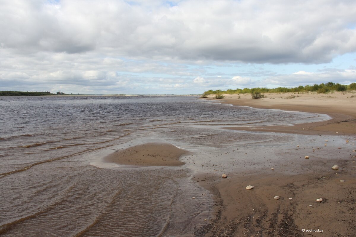 Берег Северной Двины. Ломоносово, Архангельская область, лето 2019 г.