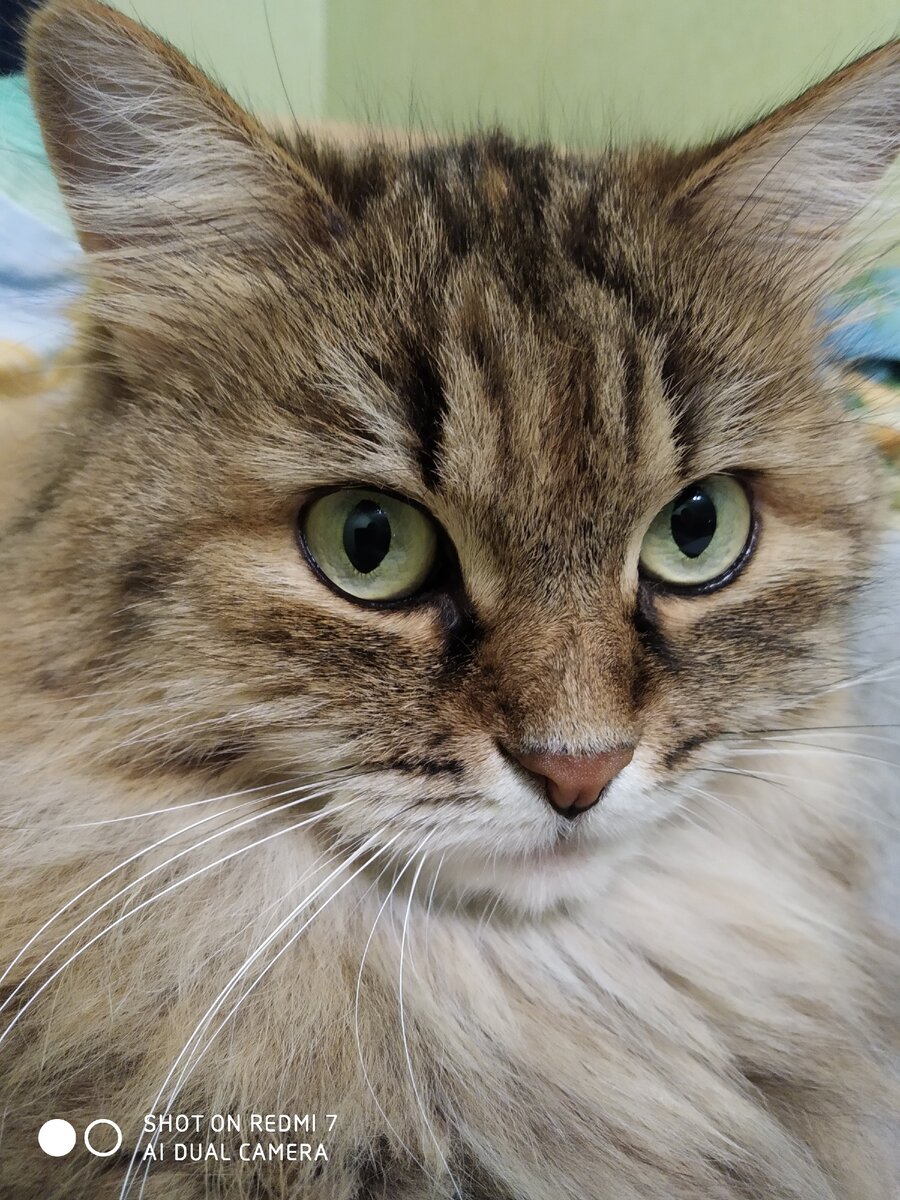 А у нас вот такая красавица!