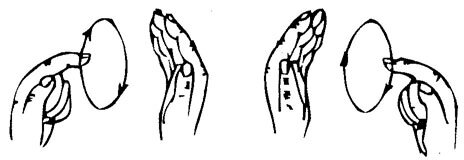 2. Каждый пальчик руки вращаем по часовой стрелке (и против). На каждый палец по 10-15 кругов.