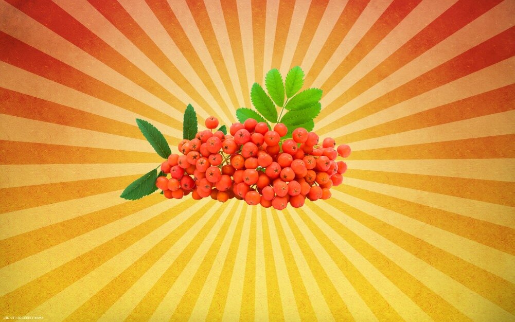 Топ-10 продуктов с наивысшим содержанием витамина С