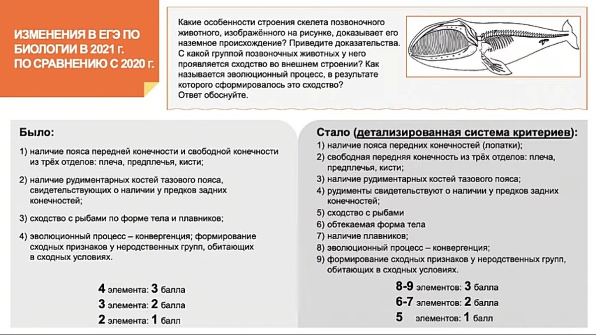 Изменения ЕГЭ по биологии в 2021г: онлайн консультация от РОСОБРНАДЗОРА |  Docendo discimus | Дзен