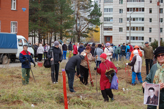 Закладка аллеи