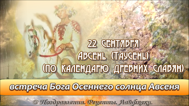 Подготовка питомца к осеннему периоду