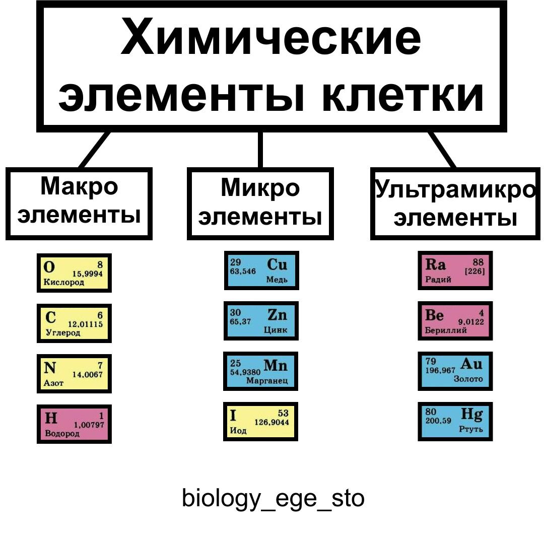 Назовите химические элементы имеющие сходные свойства на основании приведенных ниже схем