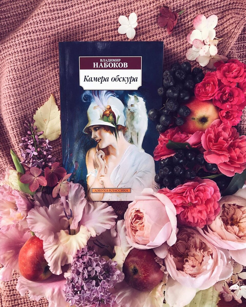 Владимир Набоков - Камера обскура. Обложка книги