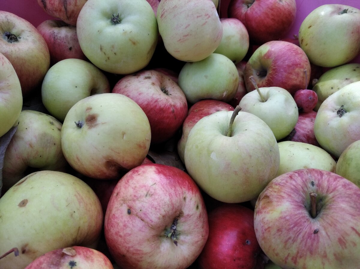 принимать без фанатизма