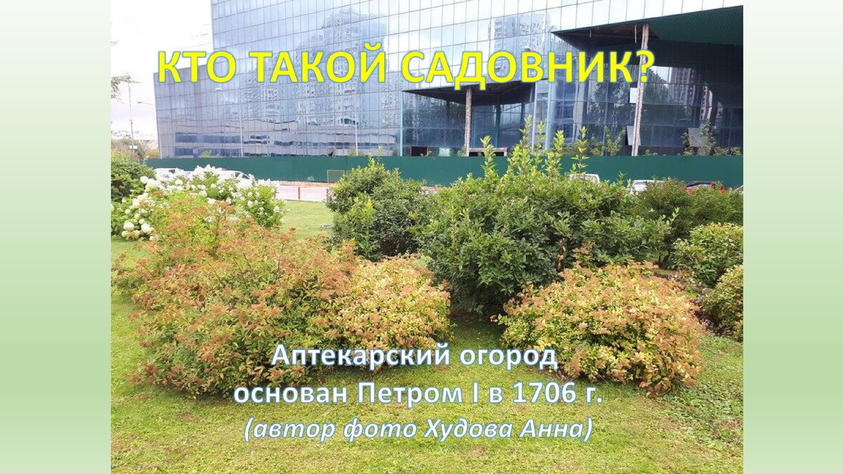 Кто такой садовник?