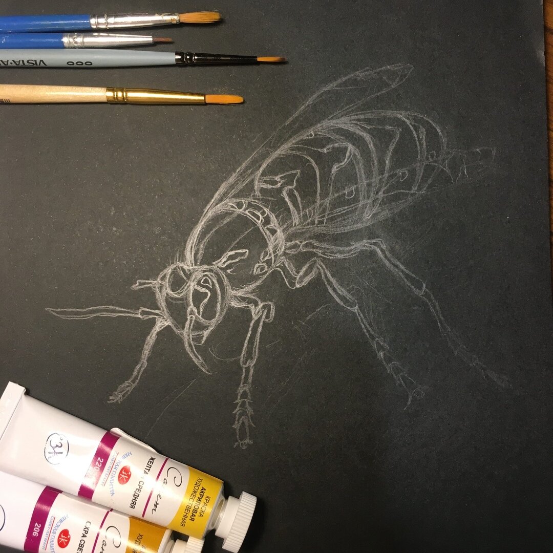 Для начала - набросок