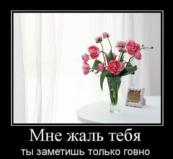 И эта из Интернета!