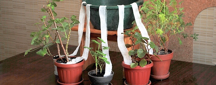 Так же можно использовать марлю или бинт