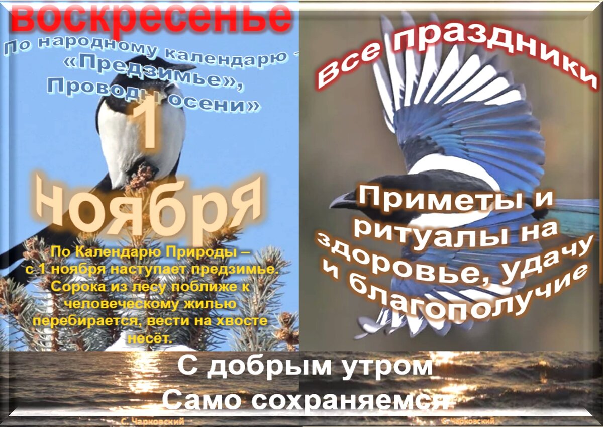 1 ноября - все праздники, приметы и традиции во всех календарях. | Сергей  Чарковский Все праздники | Дзен