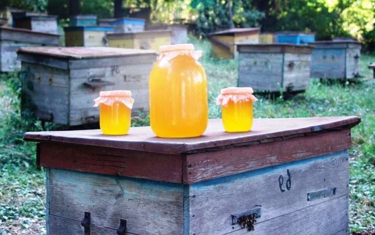 Фадеевский улей. Сколько меда можно получить с одного улья. Сколько стоит 1 пчела. Сколько меда можно получить с одного улья. Как выглядит засев пчел на рамках.