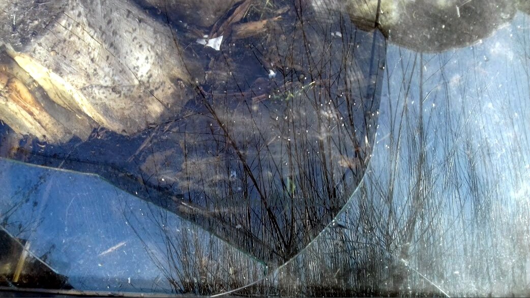 Так случается, что вроде успешная и спокойная жизнь вдруг разбивается, как вот эта дверь витрины, которую я сфотографировала. Можно посыпать голову пеплом и осколками, продолжая ранить себя и других. А можно в отражении увидеть жизнь и начать выстраивать по новому. 