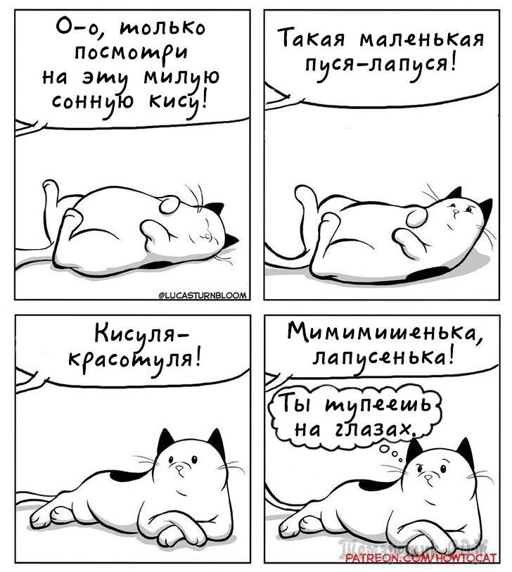 Как нарисовать комикс про котиков