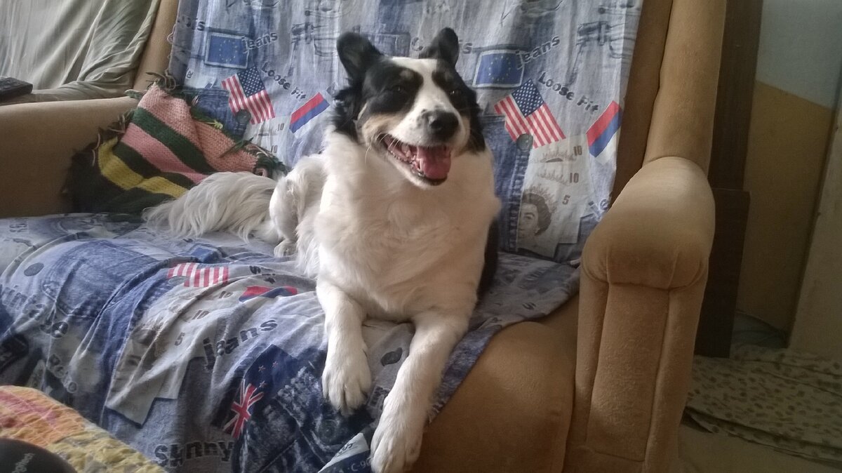 Удовлетворение