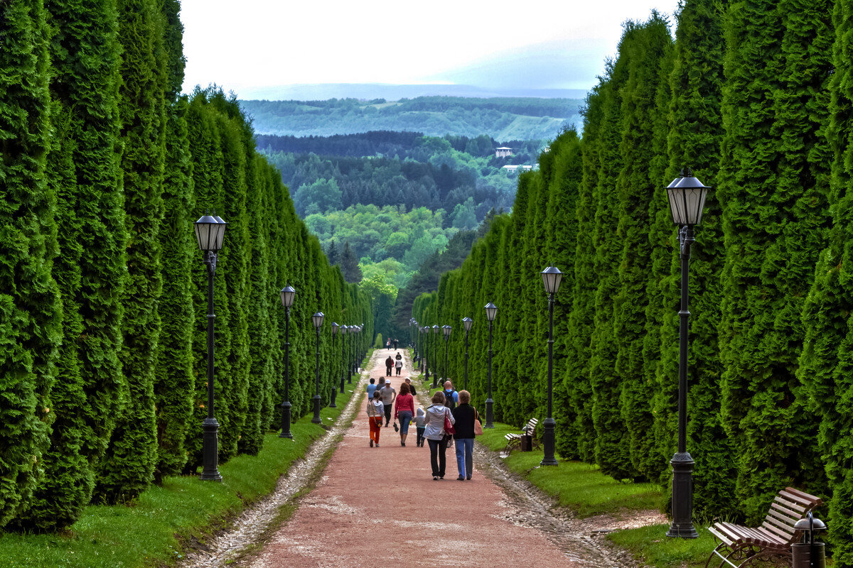 Курортный парк Кисловодска. Фото из Интернета.