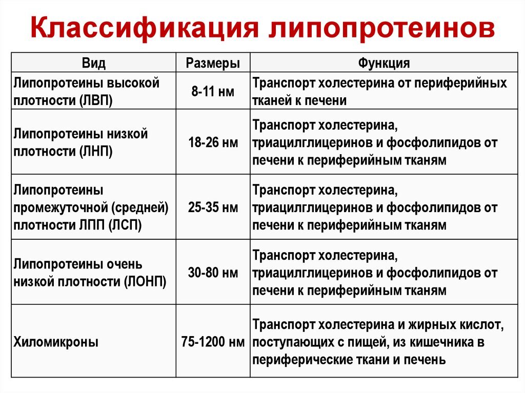 Холестерин 2 типа