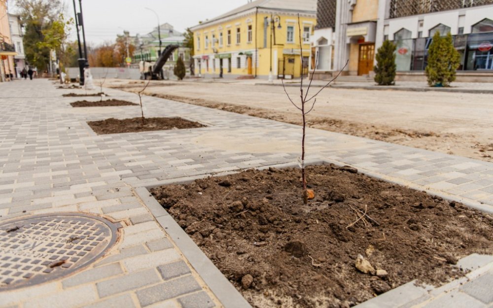 Фото: Ксения Кудрина / «Блокнот»