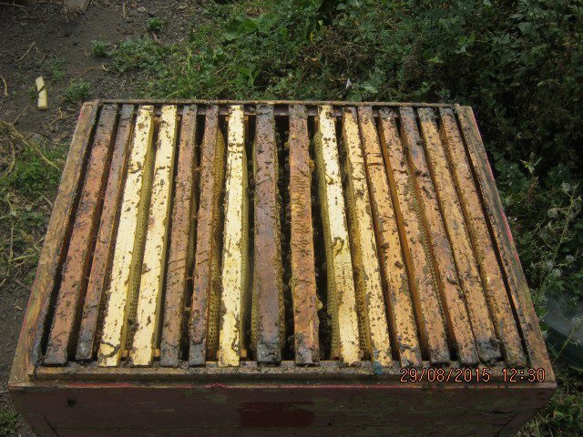 Архивное фото. Один из первых ульев.