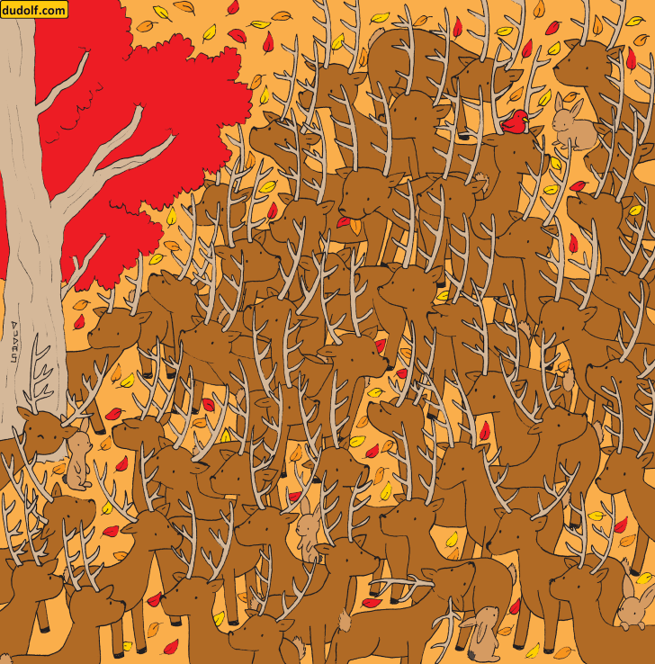 лань прячется среди оленей (Gergely Dudas)