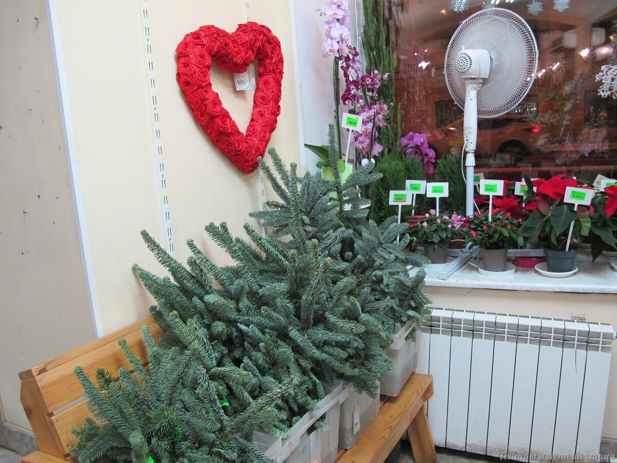 Салон цветов "Магнолия", улица Глинки 3-5-7