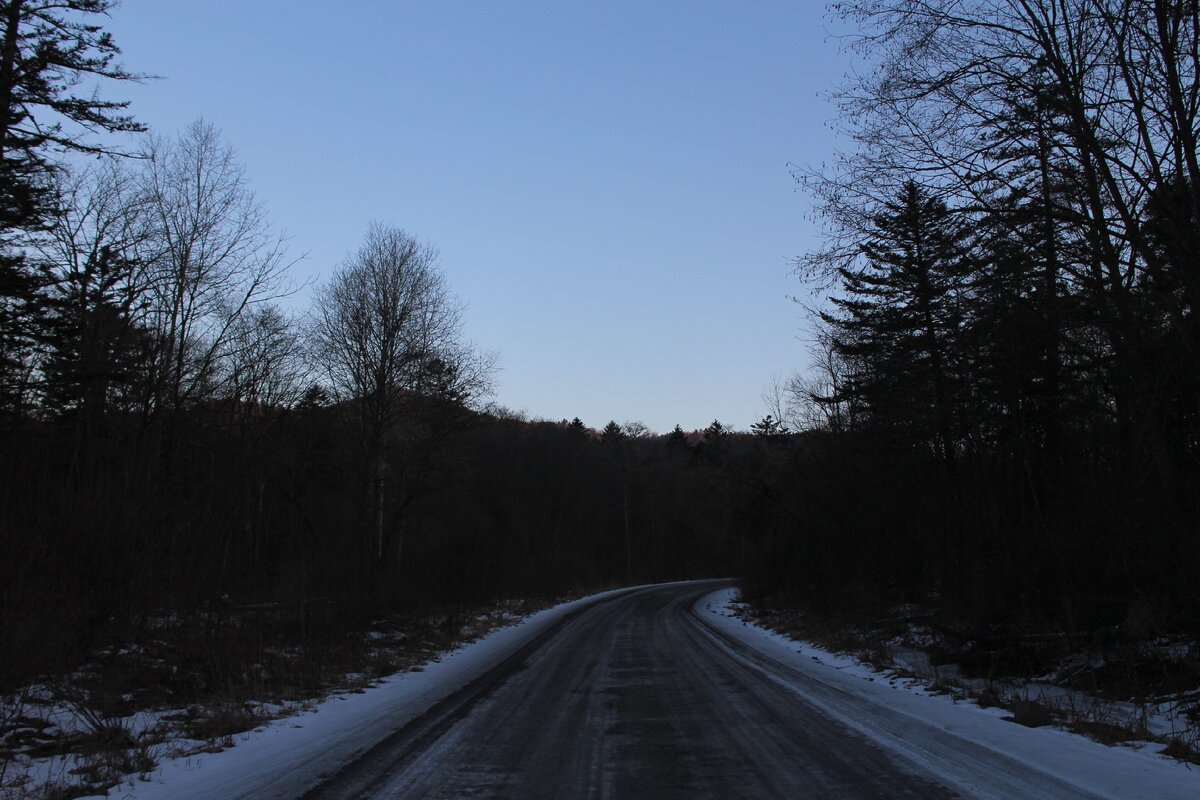 дорога через заповедник
