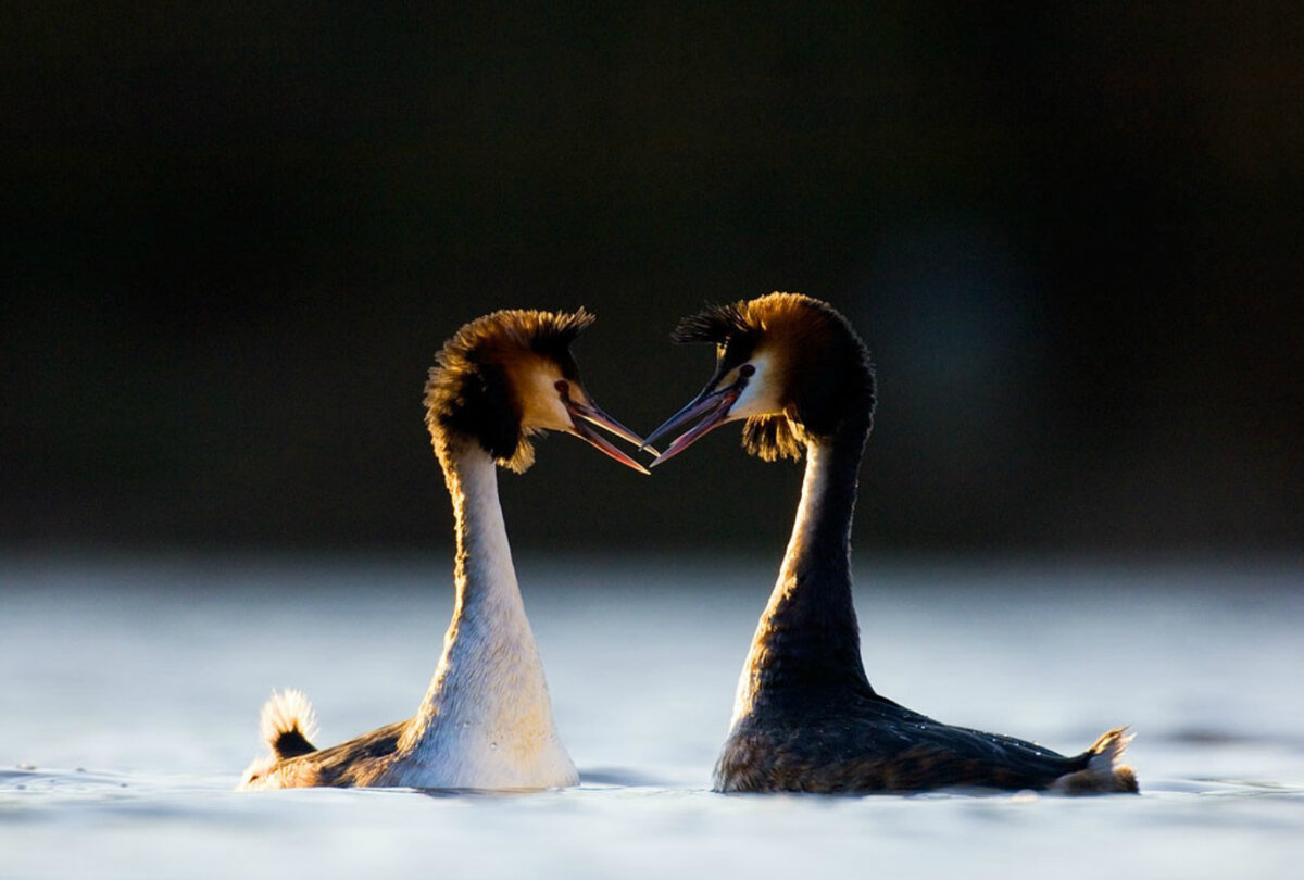 Фото: Эндрю Паркинсон