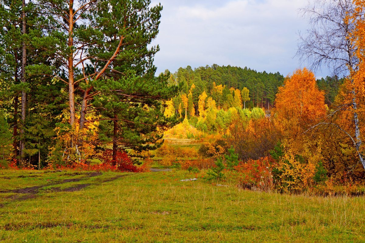 Лиственная красота