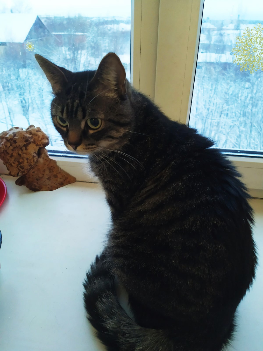 Примерно такой был Вася при поступлении к нам.