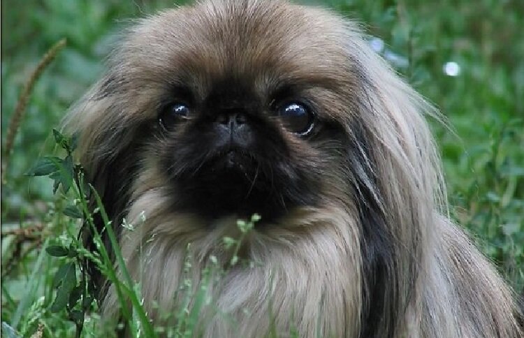 Барбара Марта Лега