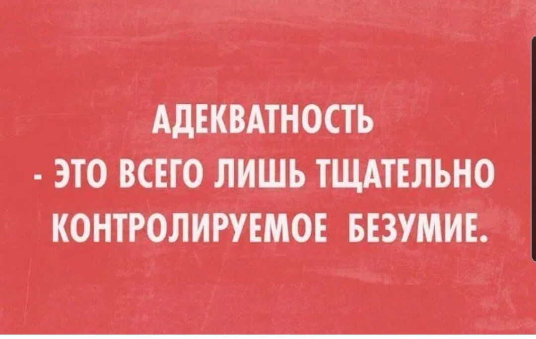 Адекватный это. Адекватный человек анекдот. Адекватных людей цитата. Шутки про адекватность. Анекдот про адекватность.