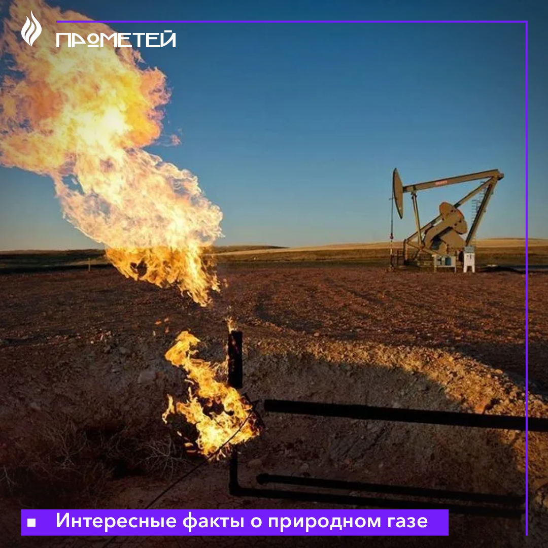 Интересные факты