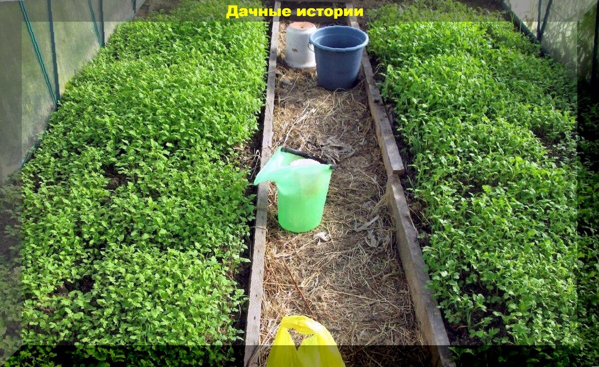 https://vk.com/photo-159774511_457249058