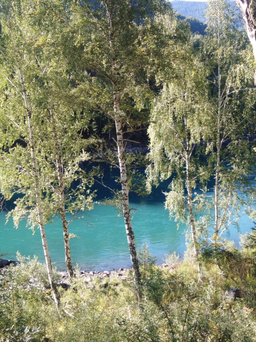 фото автора, на так себе телефон, если что, звонки с фотоаппарата - ещё хуже!