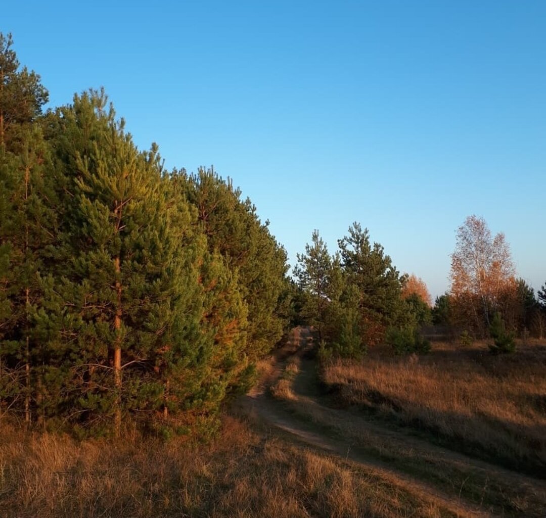 с. Ужалье, Спасский район, Рязанская область. 