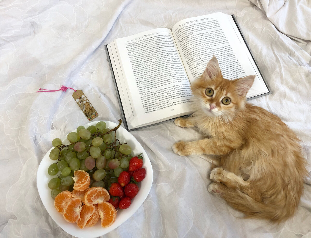 (с)Крошка Читатель