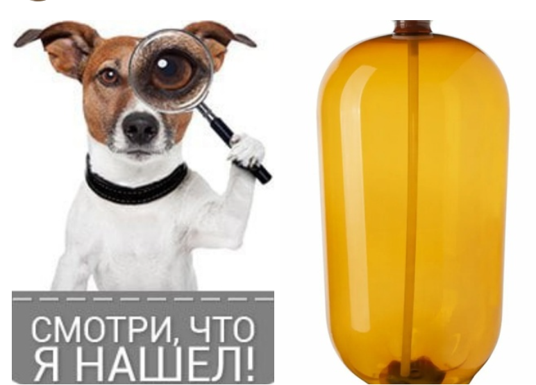 Кега и собака картинка