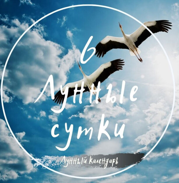 6 Лунный день