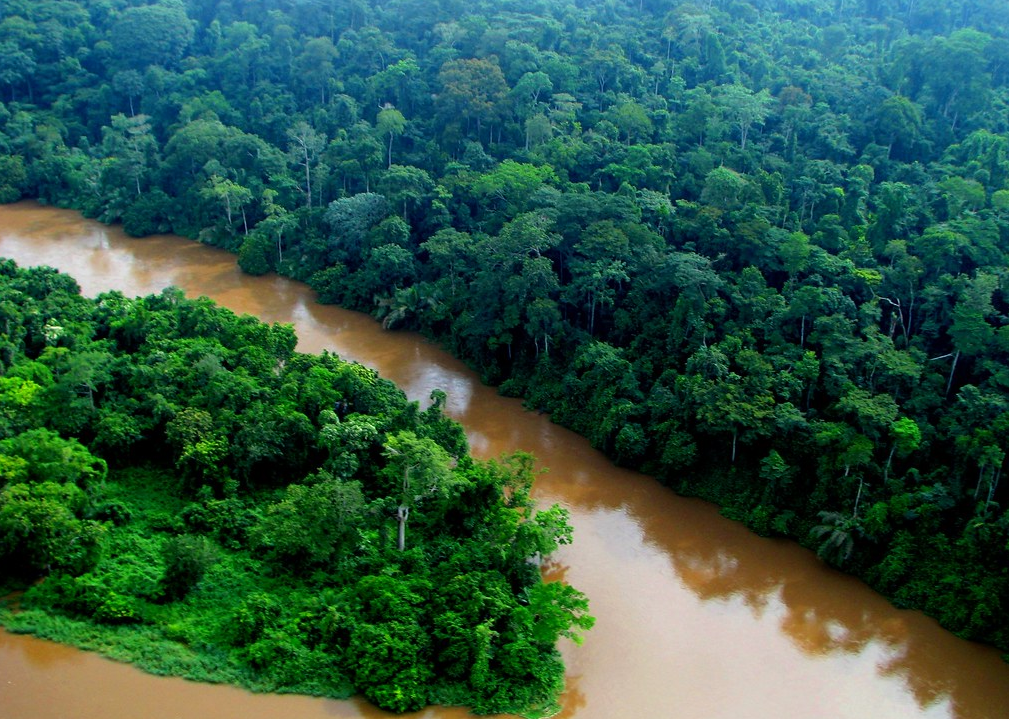 Самая полноводная река материка африки. Конго Заир река. Река Конго в Африке. Долина Конго.