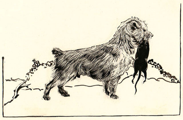 Ловец грызунов