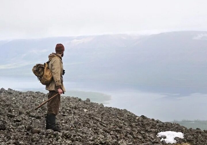 Фото из интернета 