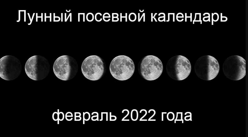 Лунный календарь на январь 25 года мир