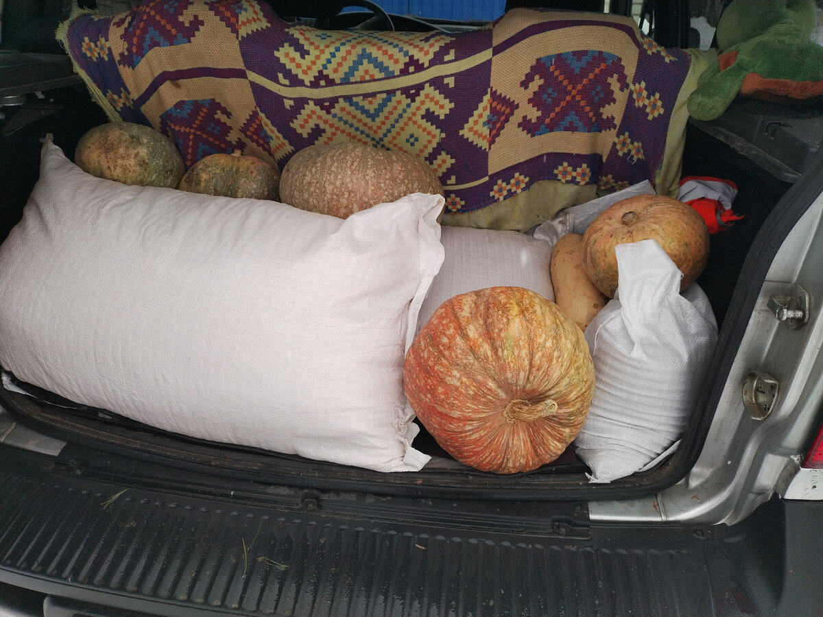 Зерно и тыквы