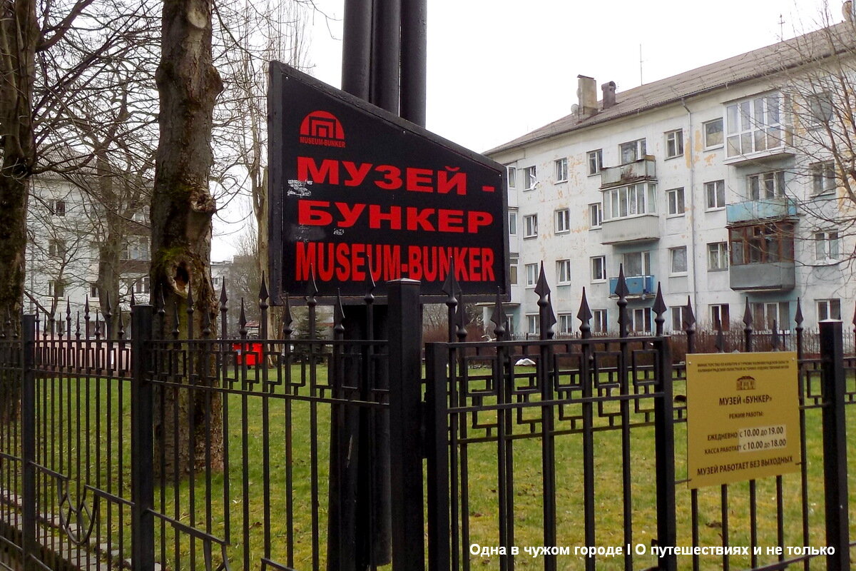 Официальный адрес музея: ул. Университетская, 2а. С трёх сторон его окружают жилые дома, напротив находится парк Института живых систем. 