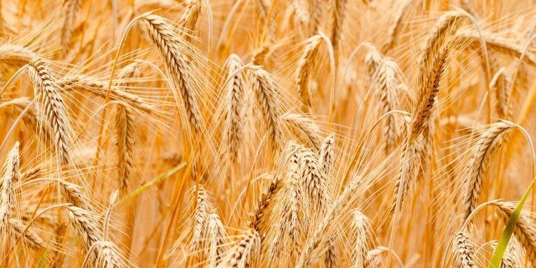 Фото: https://pro.rbc.ru/news/6245a85c9a7947e0203f9705