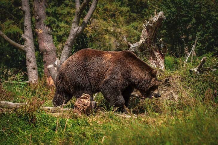    Фото с сайта ru.freepik.com